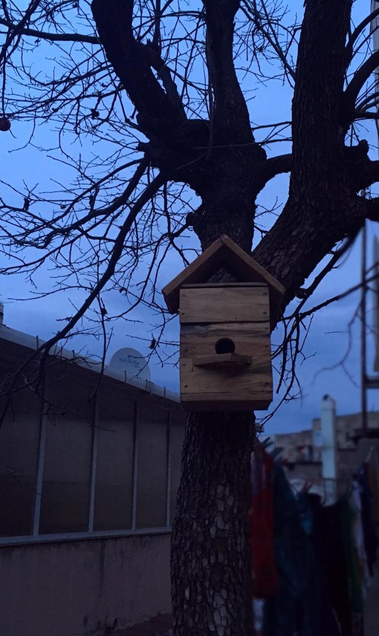 Birdhouse Rooms 트빌리시 외부 사진